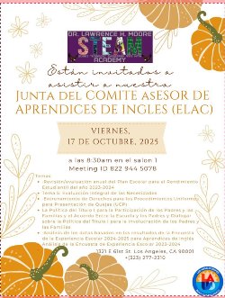 Flyer ELAC
